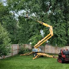 Seasonal Cleanup (Spring/Fall) in Webster, TX